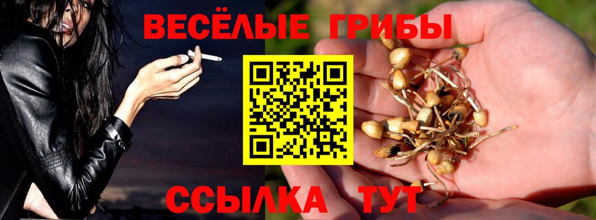 Псилоцибиновые грибы Magic Shrooms Чистополь