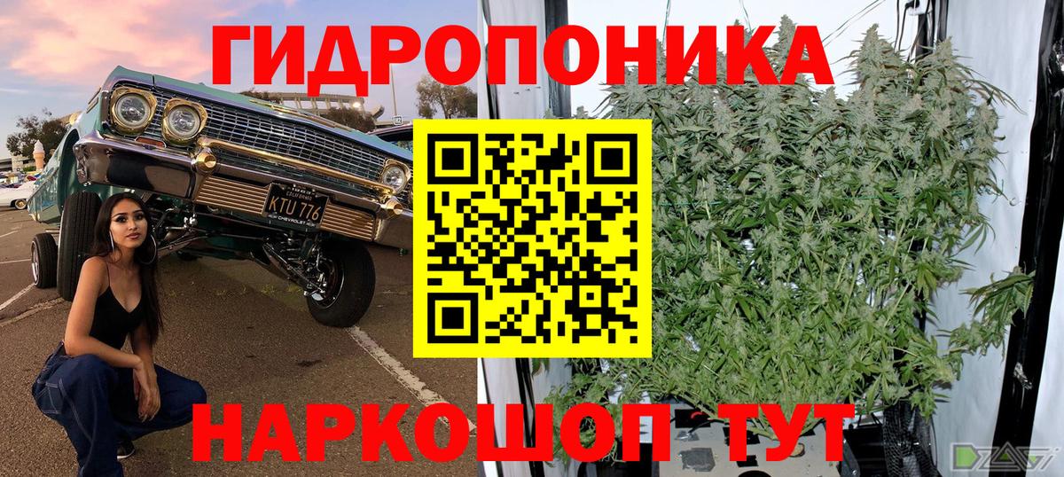 Шишки марихуана семена  Конопля тримм  Чистополь  Вход с VPN  Каннабис ГИДРОПОН  Конопля семена 